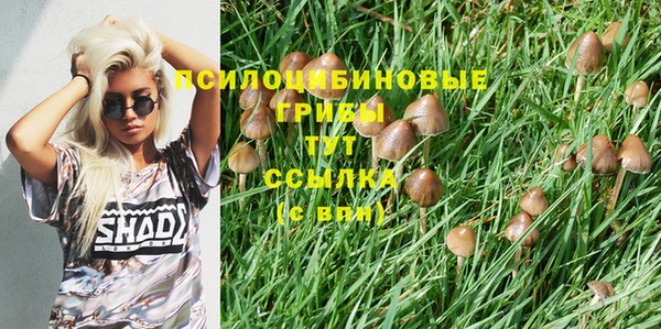 круглые Алексеевка