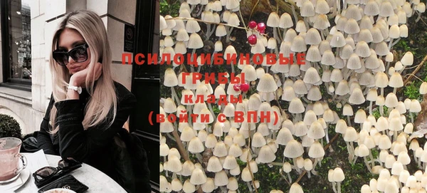 ГАЛЛЮЦИНОГЕННЫЕ ГРИБЫ Алексин