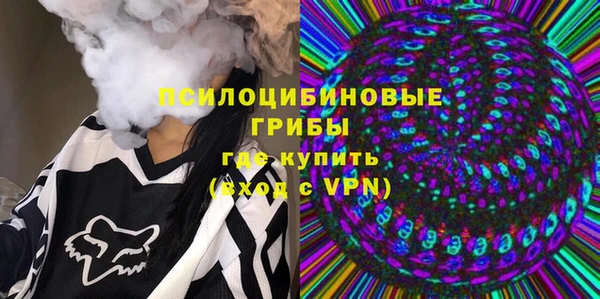 твердый Алзамай