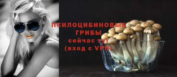 круглые Алексеевка
