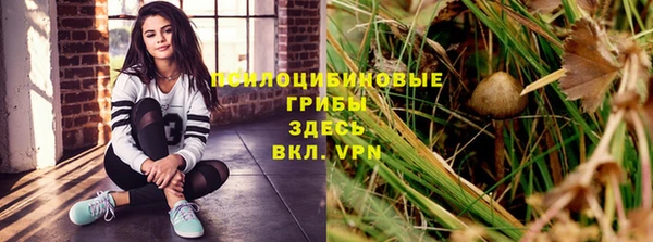 твердый Алзамай